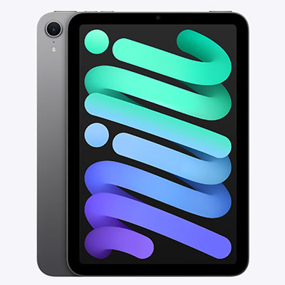 iPad Mini 7 (A17 Pro) Skins