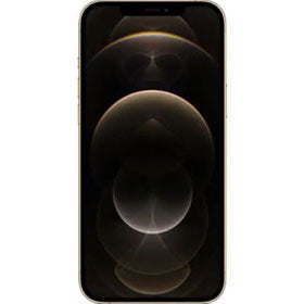 iPhone 12 Pro Max - Slickwraps