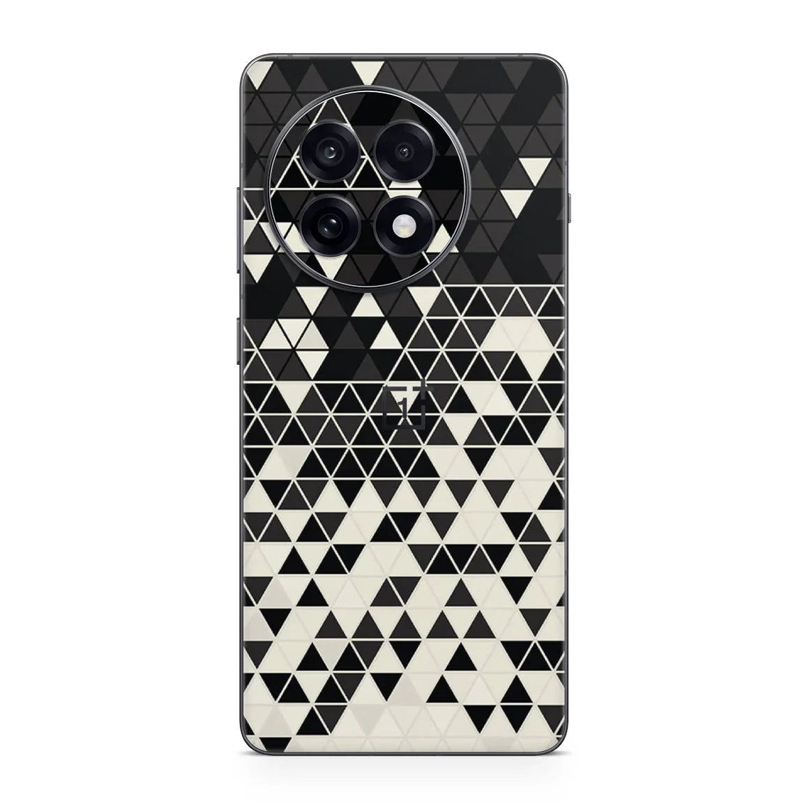 OnePlus 13R Finish Series Gloss Skin