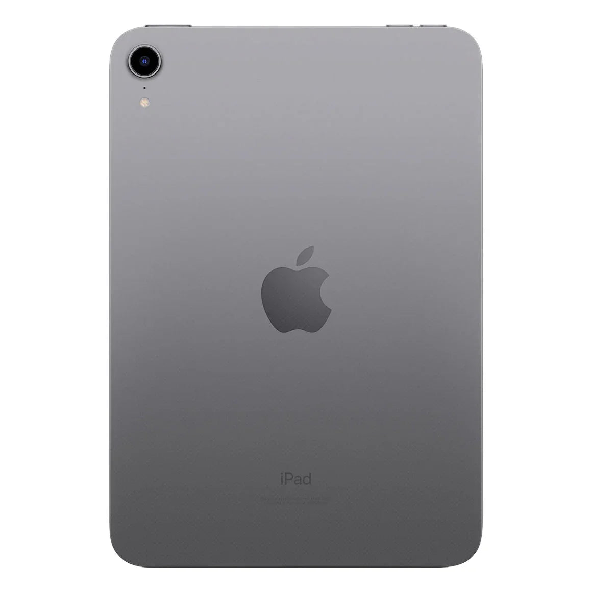 iPad Mini 7 (A17 Pro) Naked Series Matte Skin