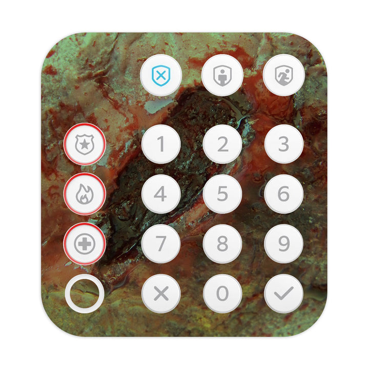 Ring Alarm Keypad (2nd Gen) Horror Series Infection Skin