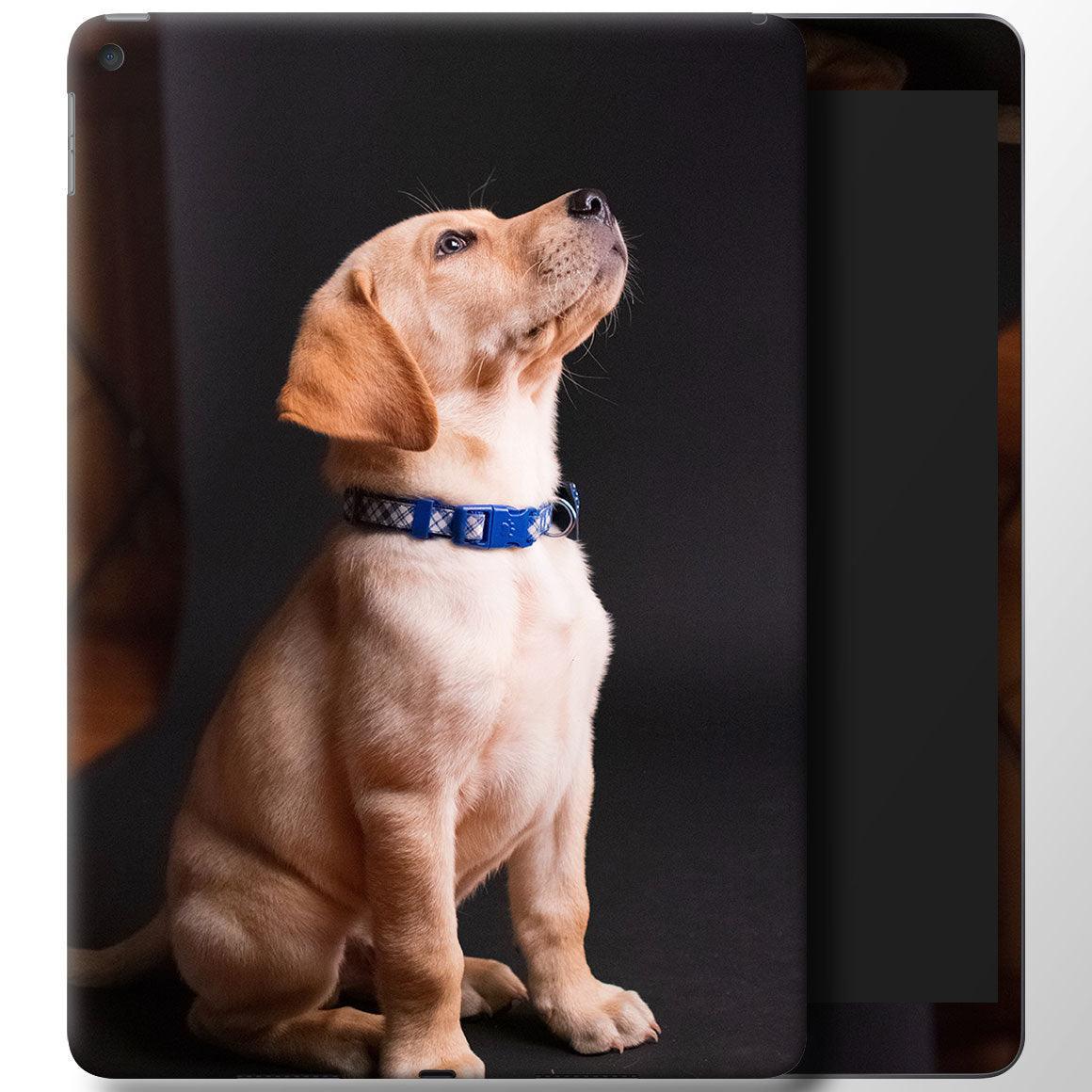 iPad Air Gen 3 Custom Skin - Slickwraps