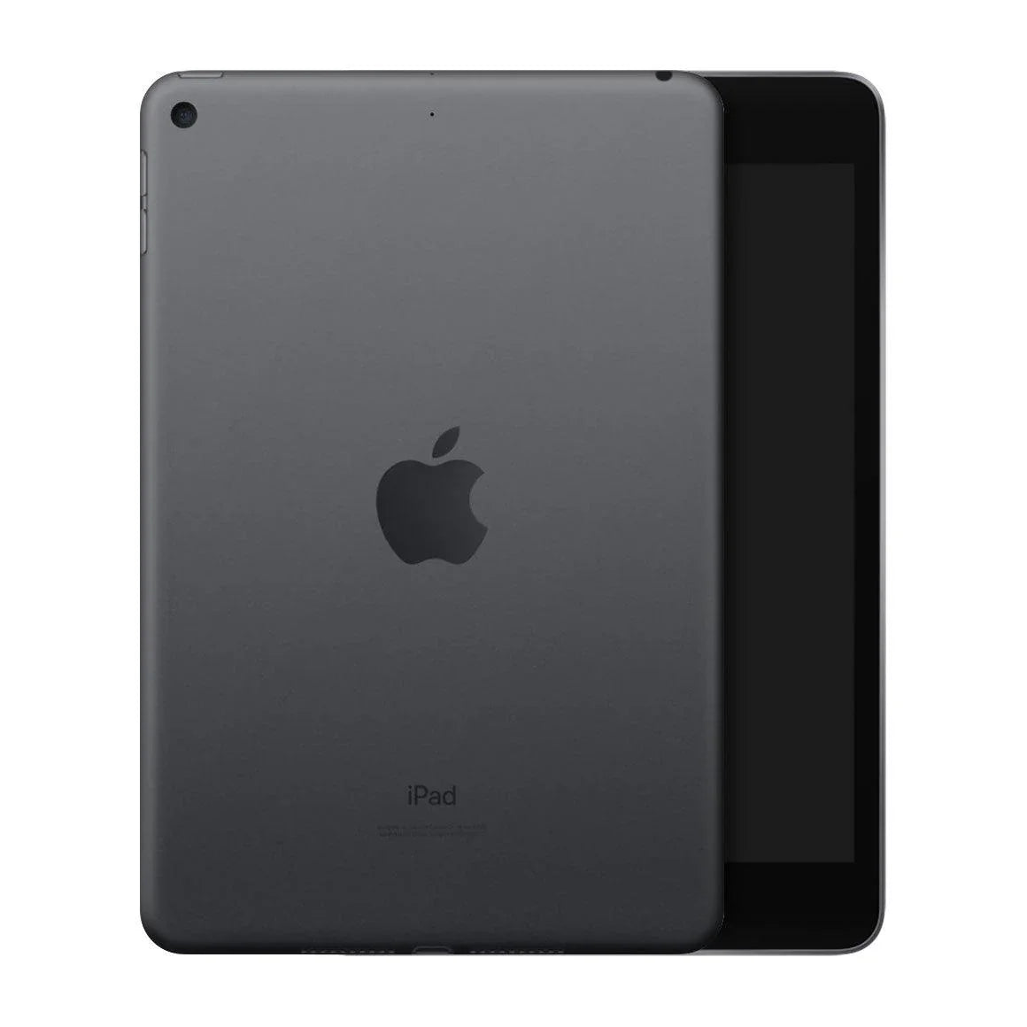 iPad Mini 5 Naked Series Skins - Slickwraps