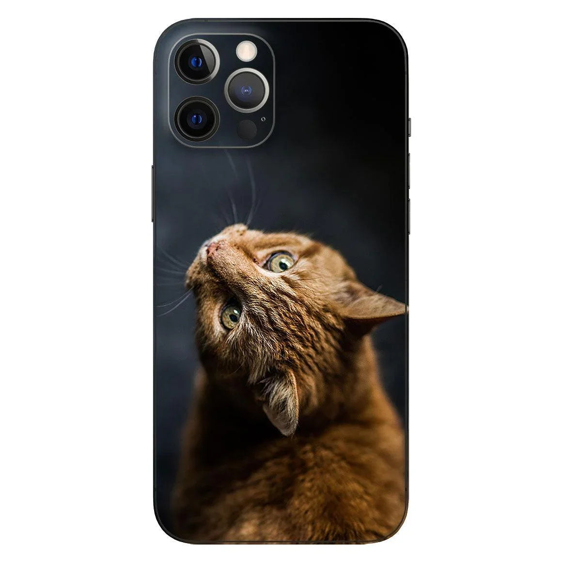 iPhone 12 Pro Max Custom Skin - Slickwraps